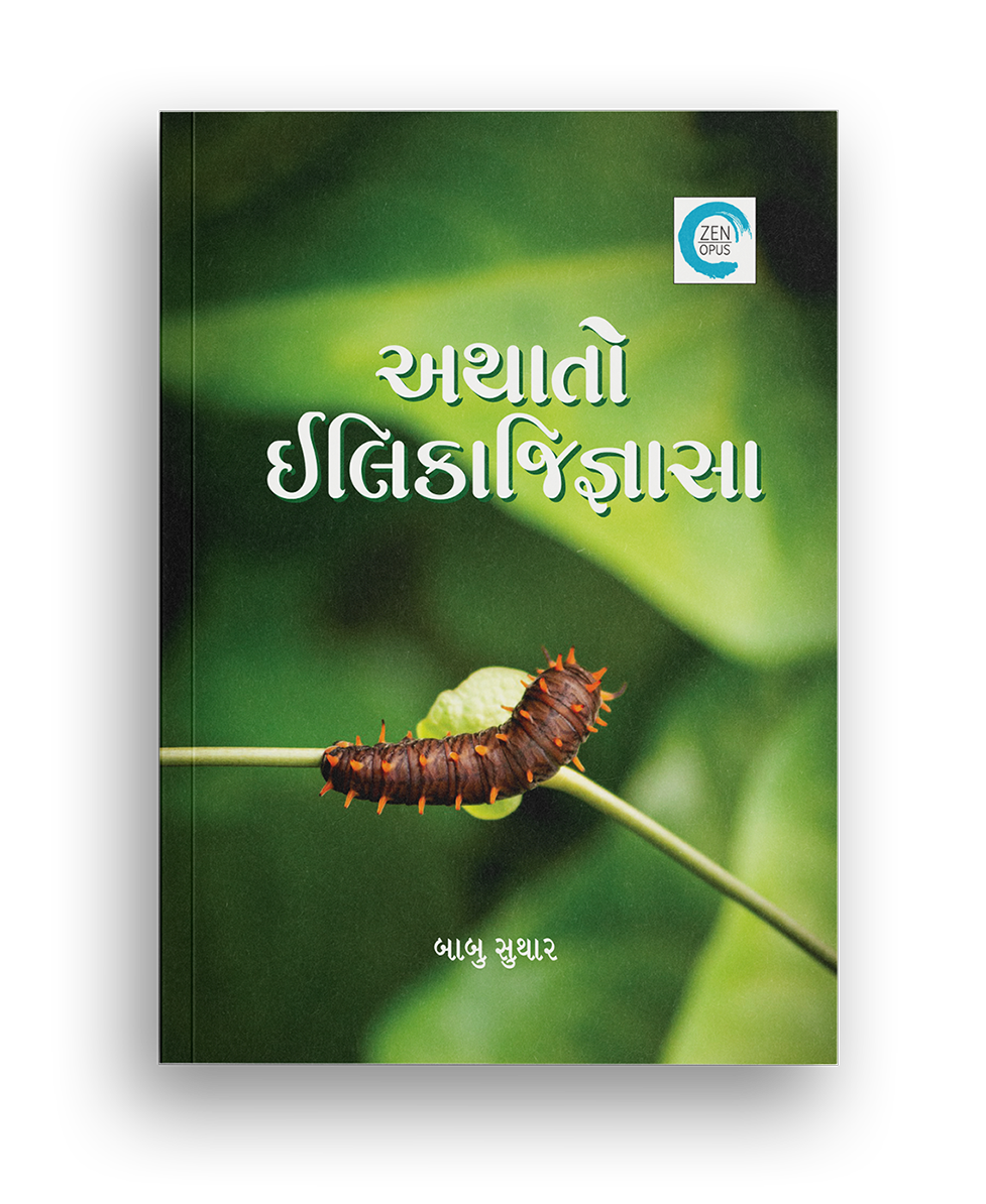 અથાતો ઇલિકાજિજ્ઞાસા